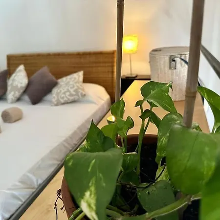 La Casa Sull'albero Nel Cuore Di * 밀라노