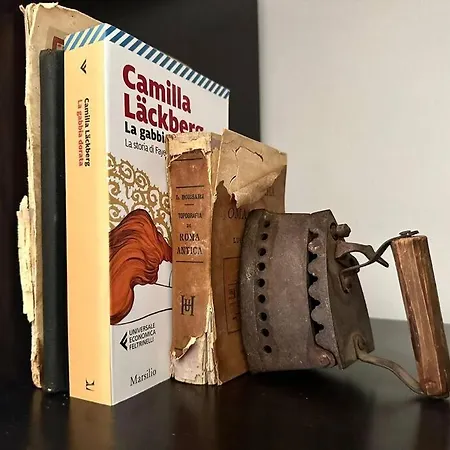 La Casa Sull'albero Nel Cuore Di 아파트 *